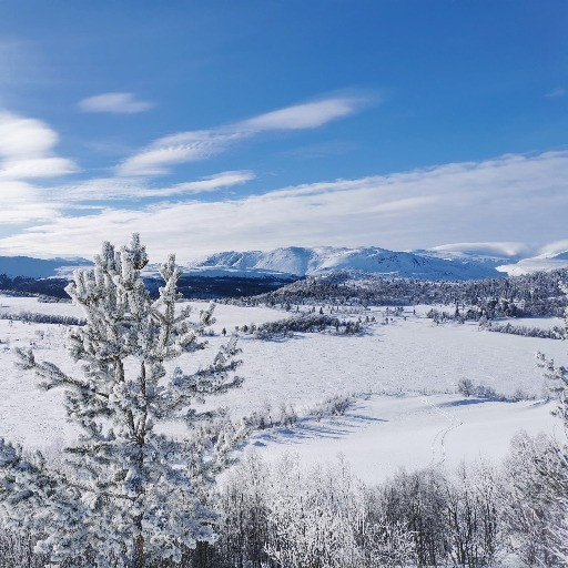 Vorschau Bild des Kurses Mid-Winter Wilderness Course in Norway (6-Days)