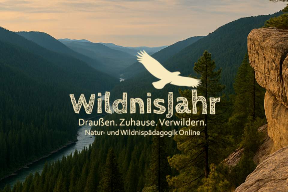 Vorschau Bild des Kurses WildnisJahr Birkenclan – Start: 01. Februar 2026