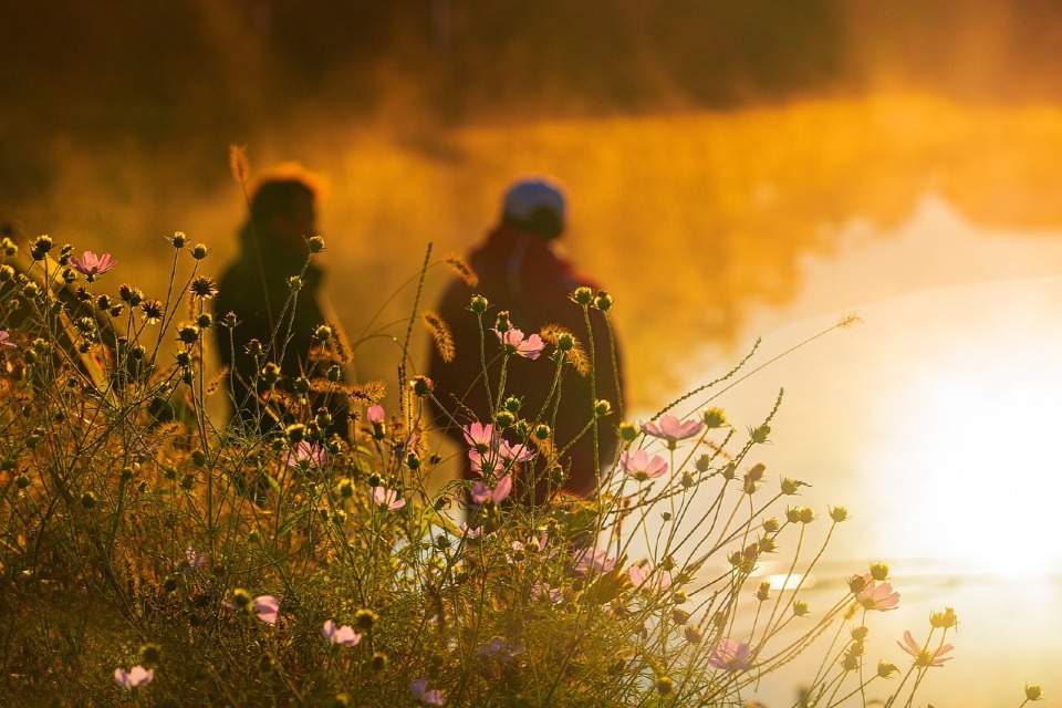 Vorschau Bild des Kurses Women's Circle - Vorfahren und Wurzeln