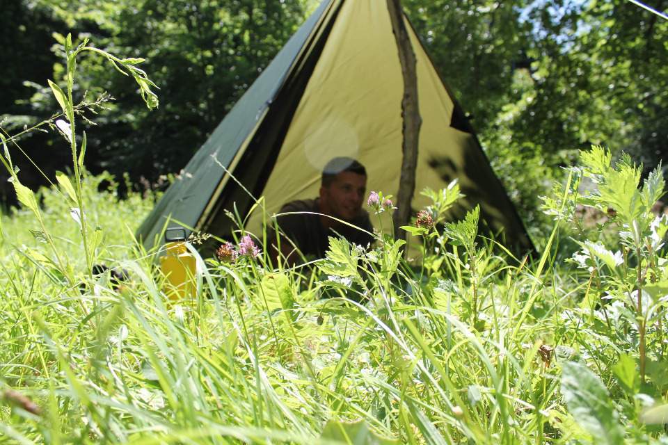 Vorschau Bild des Kurses Laubhüttenbau, Tarp-Varianten und Knotenkunde