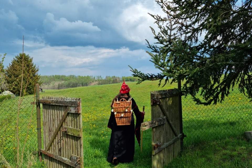 randomly picked image number 2 of outdoor class offering on wildnet