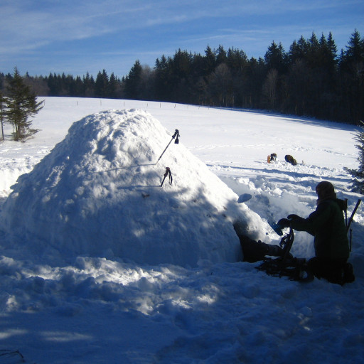 Vorschau Bild des Kurses Schneecamp der Fährtenleser