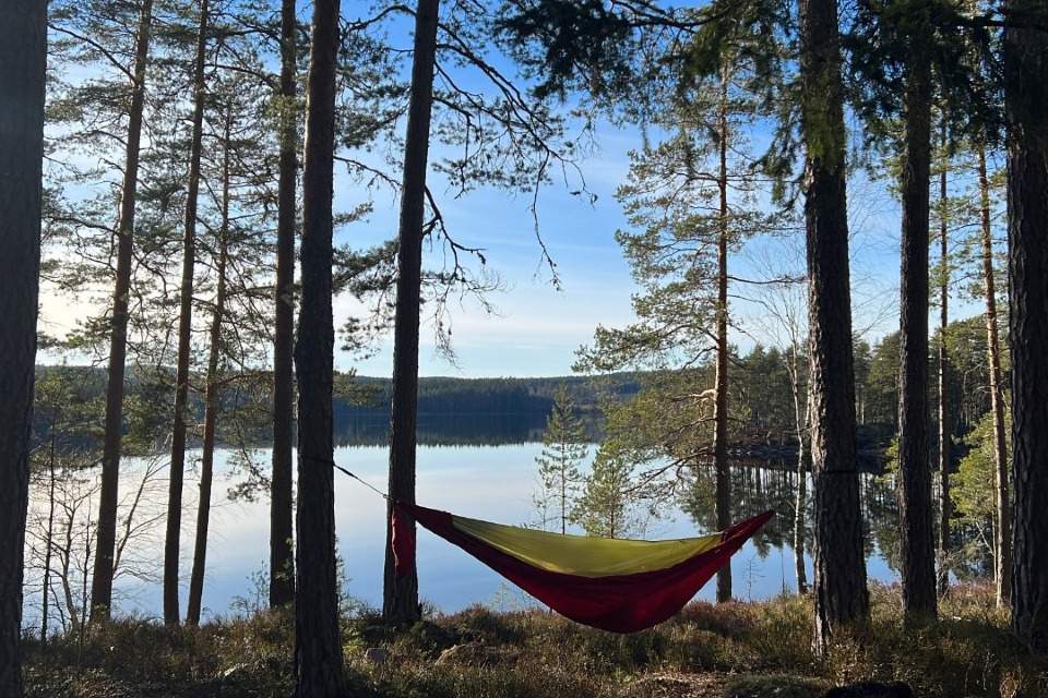 Vorschau Bild des Kurses Survival-Solo-Abenteuer in Schweden für 9 Tage!