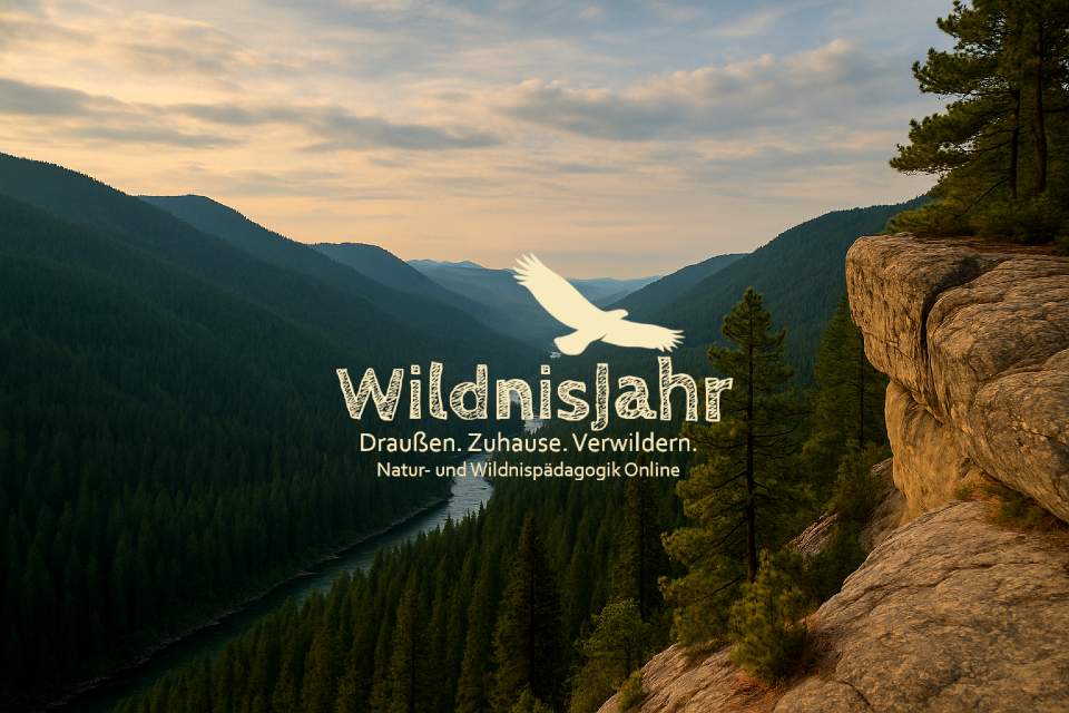 Vorschau Bild des Kurses WildnisJahr Start 01. August 2025 Brennnesselclan