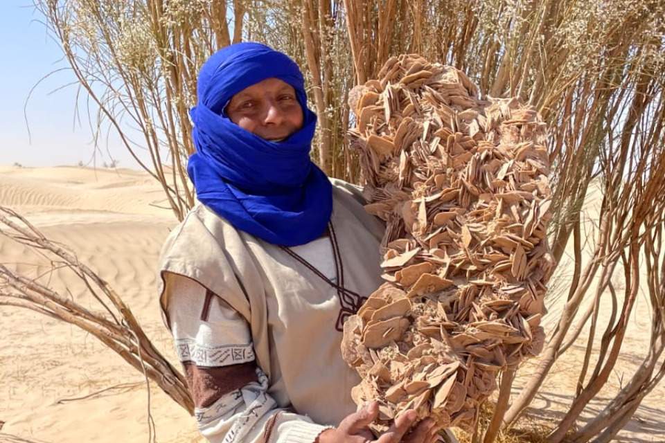 Picture of school team member Abdallah Ferjani 