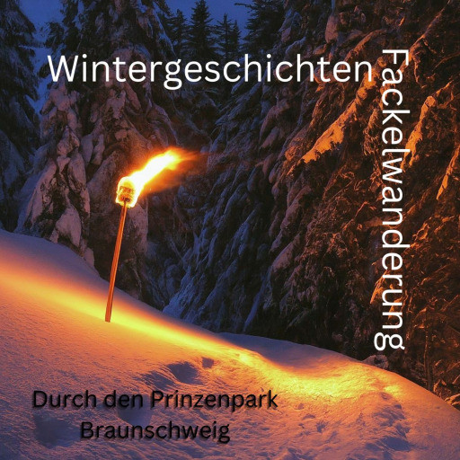 Vorschau Bild des Kurses 27.12.2024 Wintermärchen Fackelwanderung