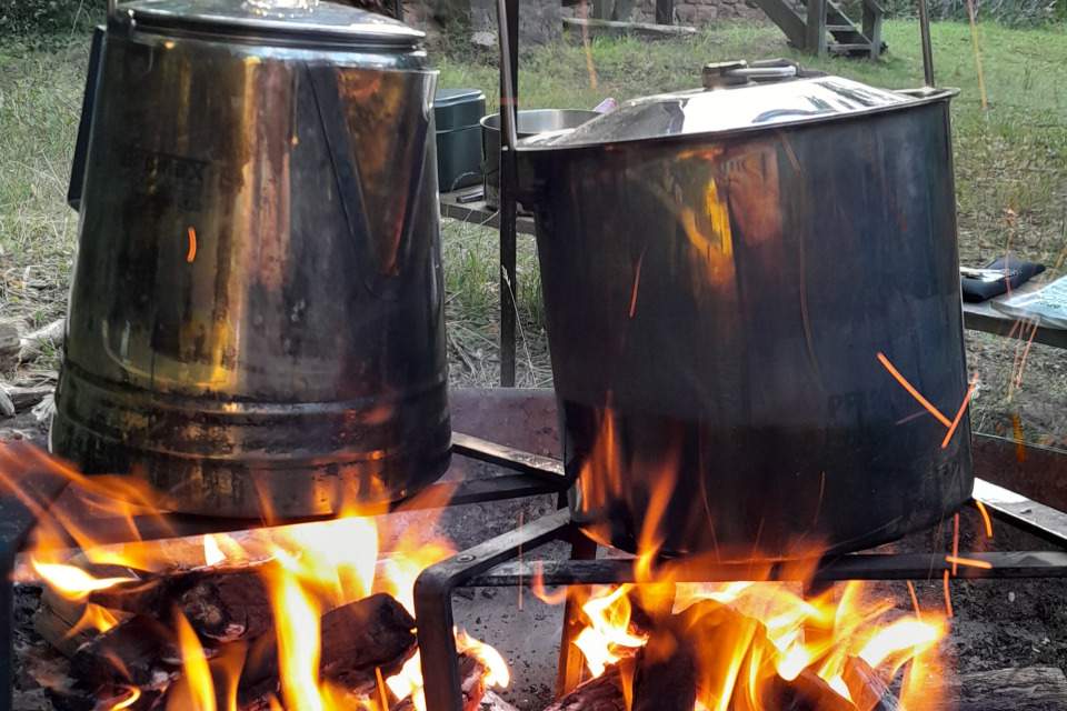 Vorschau Bild des Kurses Essbare Pflanzen und Lagerfeuerkochen-Spezial