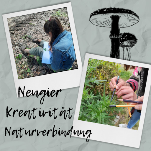 Vorschau Bild des Kurses Nature Journaling Treff März