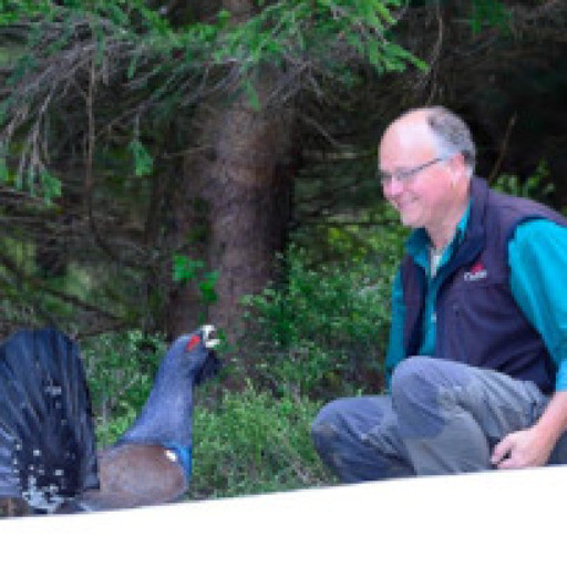 Vorschau Bild des Kurses Federlesen & Vogelwissen