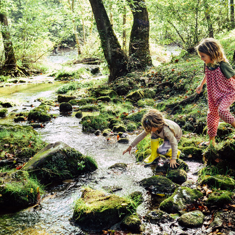 Preview image of class Kinderritual: Naturerleben fördern – Naturverbindung festigen