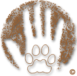Logo of the wilderness school The Earth Connection School