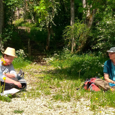 Vorschau Bild des Kurses Heilkraft des Waldes   Naturverbindung