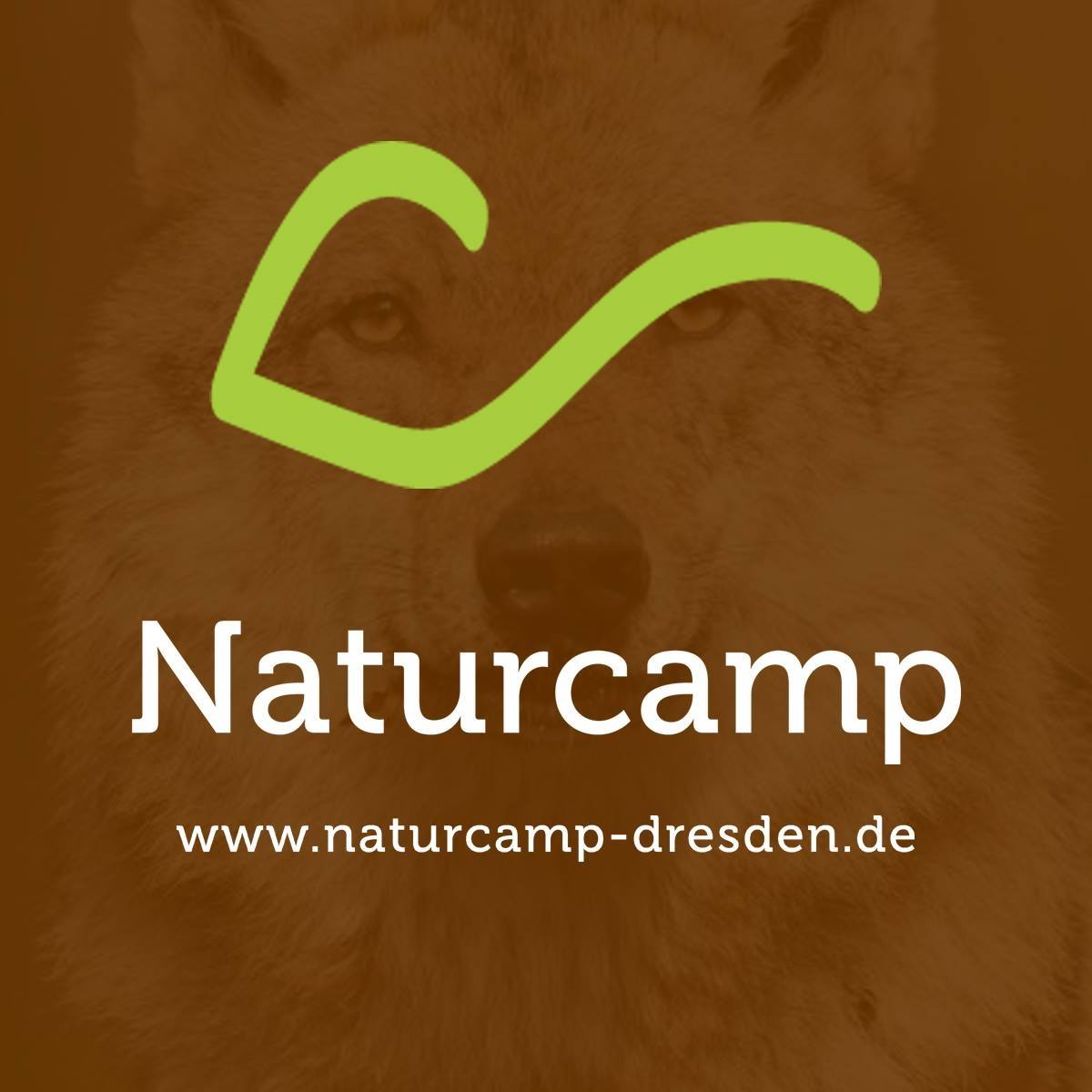 Logo der Wildnisschule Wildnisschule Naturcamp Dresden