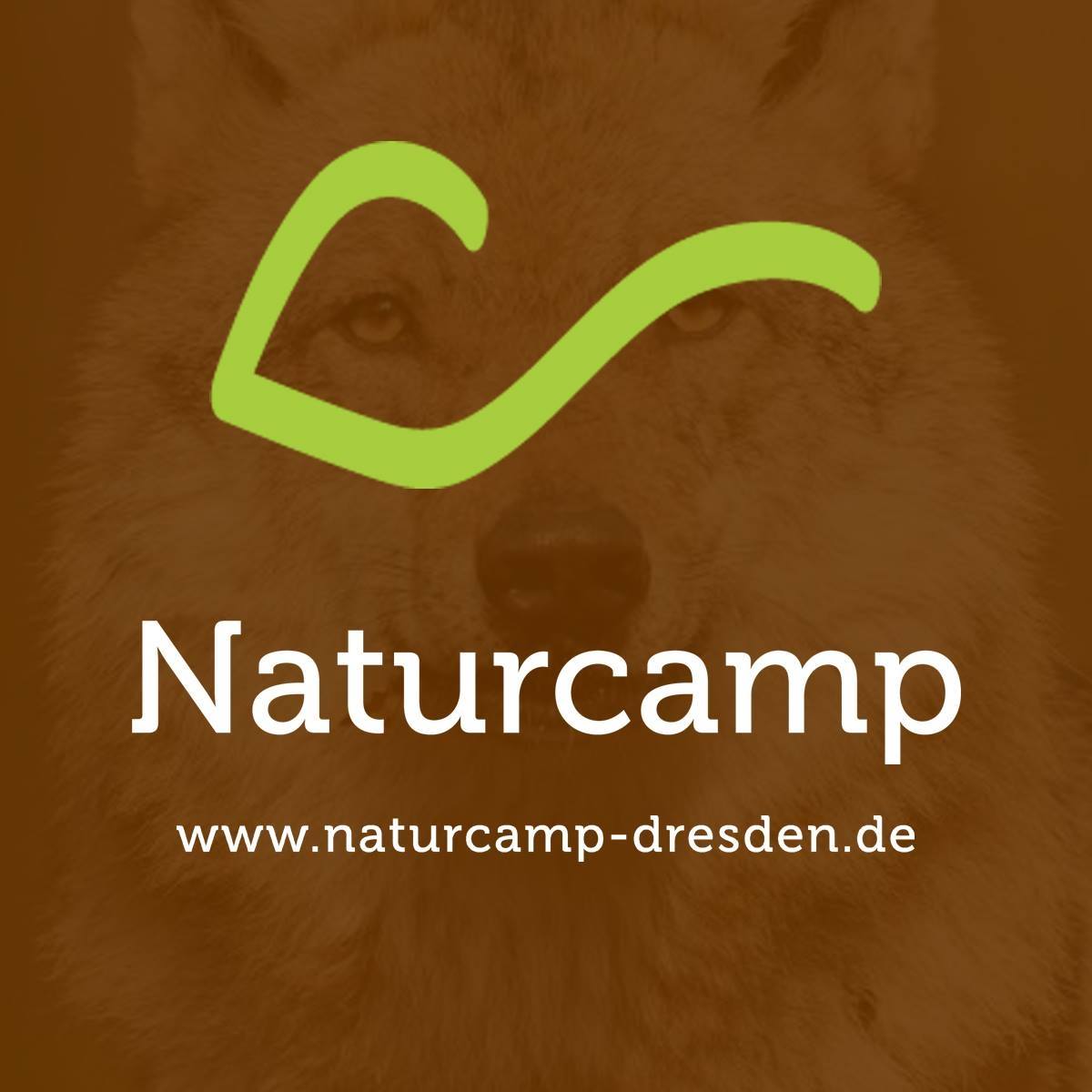 Logo of the wilderness school Wildnisschule Naturcamp Dresden