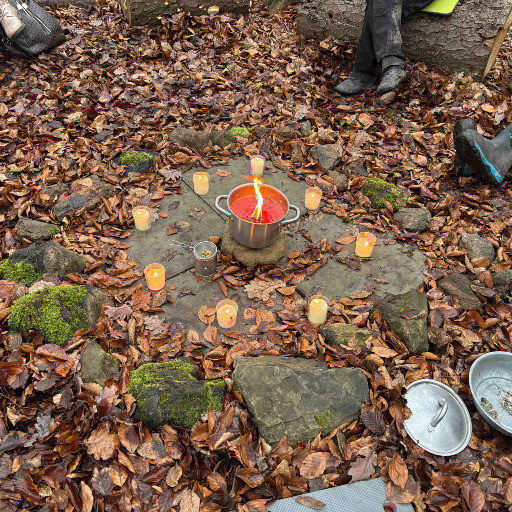 Vorschau Bild des Kurses Waldbaden zwischen den Jahren