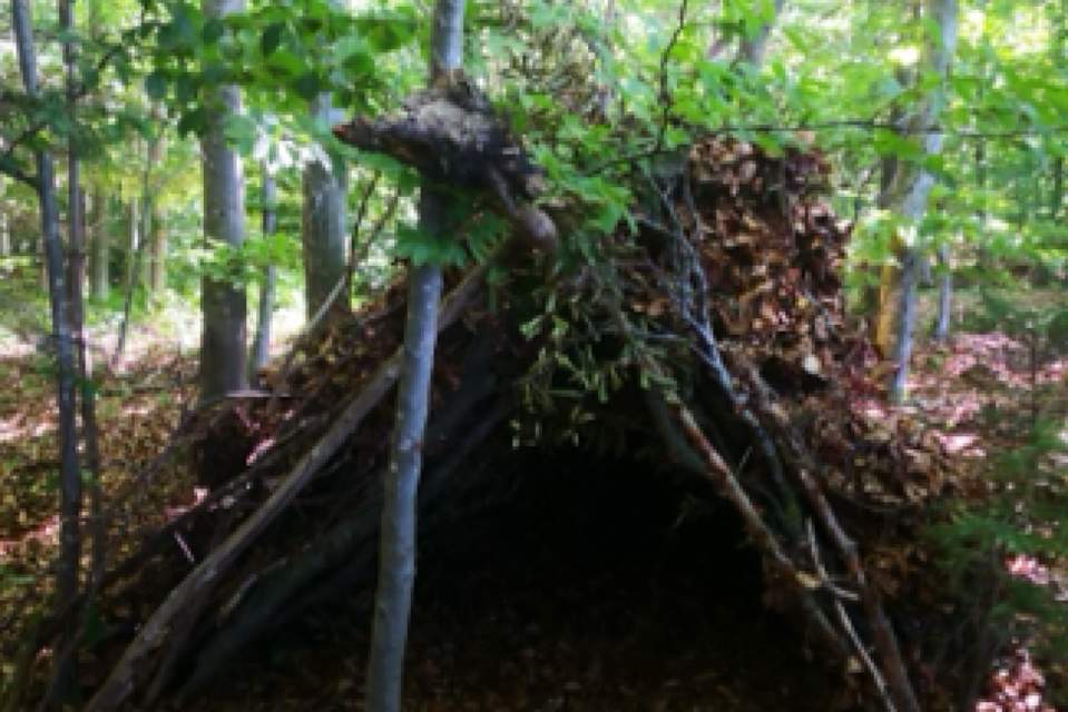Vorschau Bild des Kurses Naturläufer Clan I
