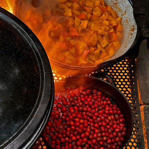 Vorschau Bild des Kurses Wildes Kochen