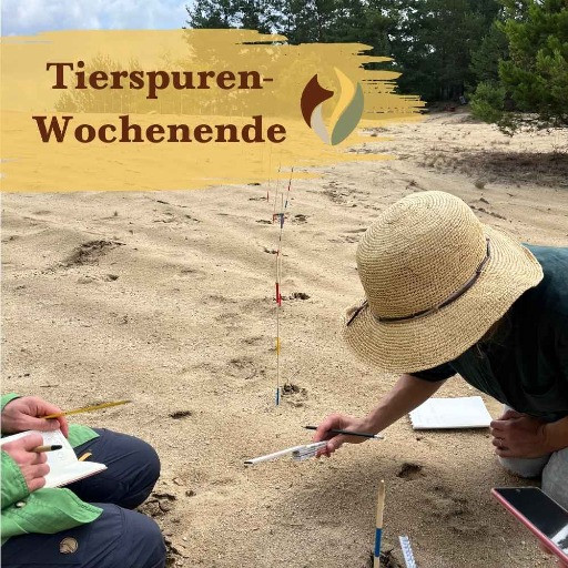 Preview image of class Tierspuren-Wochenende