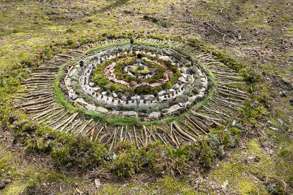 Vorschau Bild des Kurses Ausbildung in Natur-Prozessbegleitung in Bayern 2026 - 2027