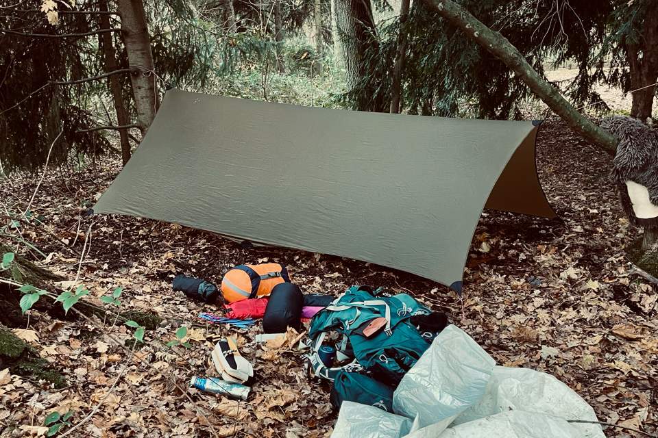 Vorschau Bild des Kurses Wildnis-Basis-Kurs Camp "Natural Living" (Frühjahr)