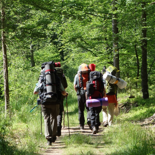 Preview image of class Wildniswandern in Tschechien