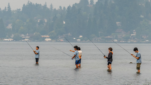 Preview image of class Fishing Skills Day Camp