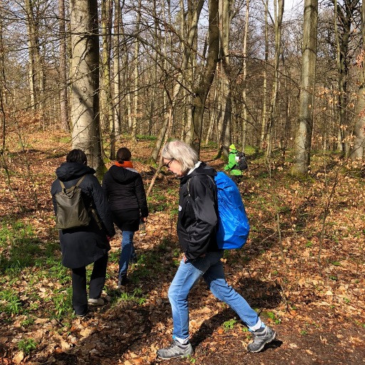 Vorschau Bild des Kurses Waldführung - Unterwegs in der Natur