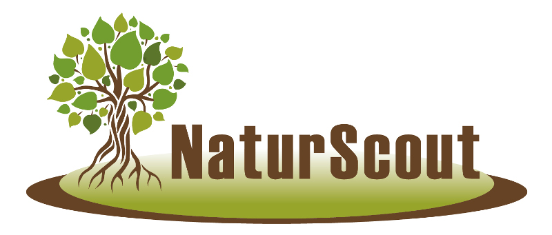 Logo der Wildnisschule Natur-Scout