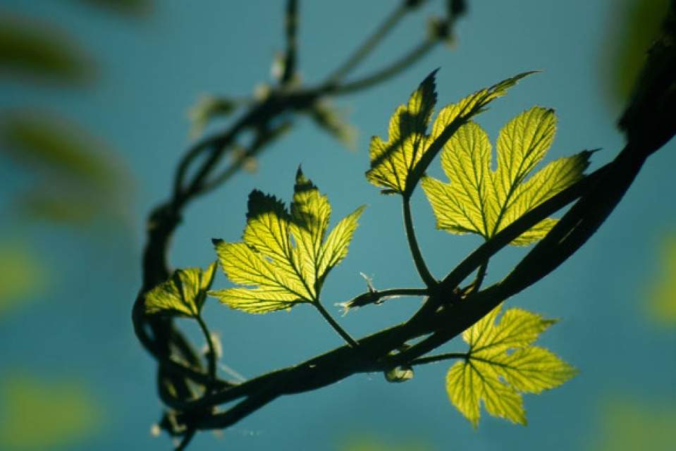 randomly picked image number 5 of outdoor class offering on wildnet
