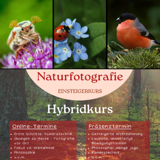 Preview image of class Naturfotografie für Einsteiger