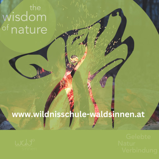 Vorschau Bild des Kurses The Wisdom of Nature • Gelebte Naturverbindung • Das Kursprogramm für Wildnispädagogik und Naturmentoring