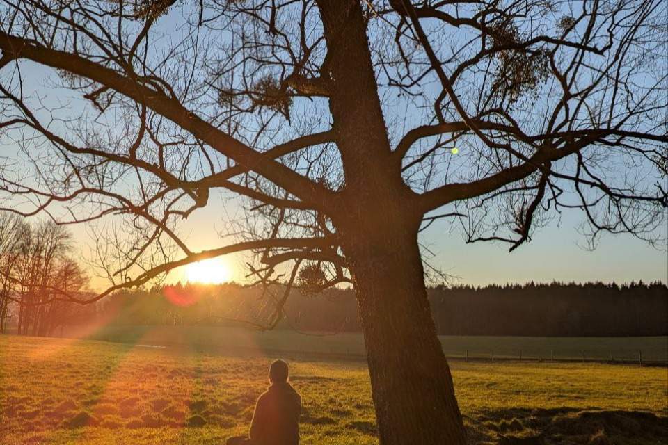 Vorschau Bild des Kurses Online-Kurs Natur-Prozessbegleitung