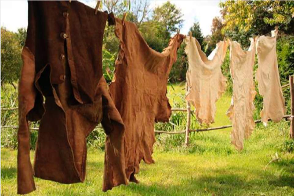 Vorschau Bild des Kurses Wildlederkleidung Mentoring 1