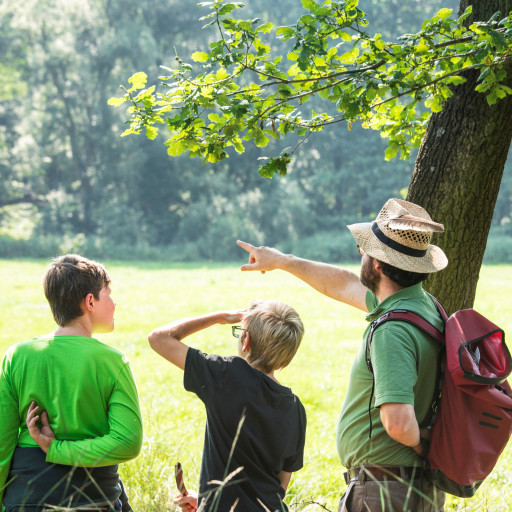Vorschau Bild des Kurses Natur- und wildnispädagogische Fortbildung für pädagogische Fachkräfte: Mit der Natur verbunden