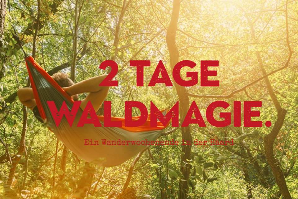 Preview image of class 2 Tage Waldmagie. Unterwegs in der wunderschönen Haard.