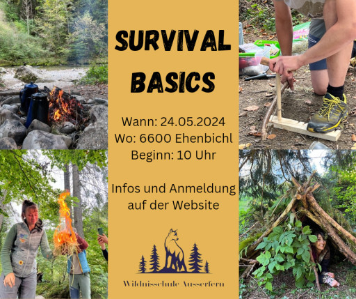 Vorschau Bild des Kurses Survival Basics