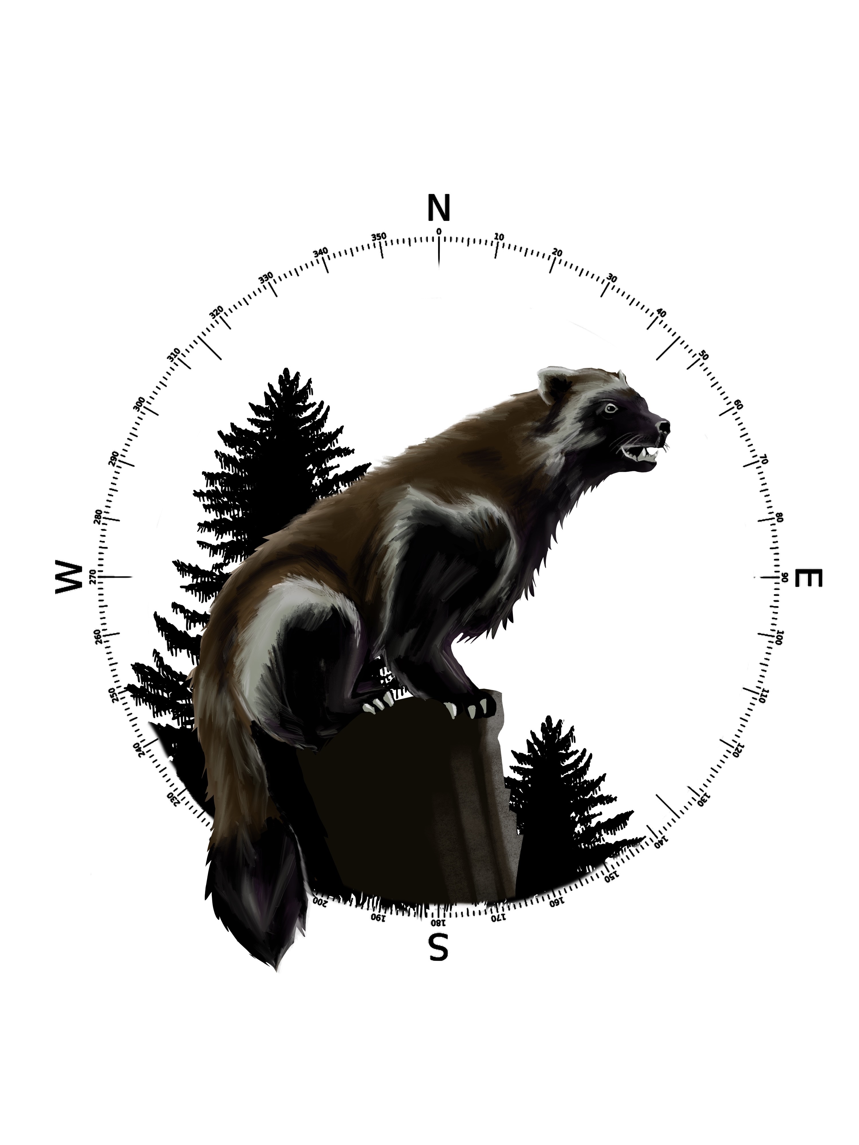 Logo of the wilderness school  Wildnisschule Bärenmader