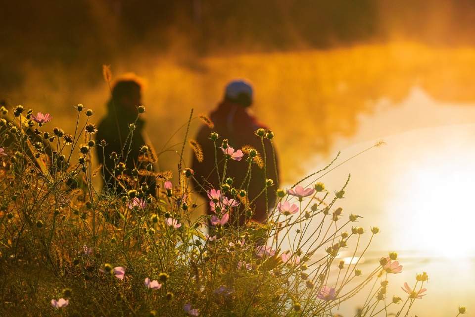 randomly picked image number 3 of outdoor class offering on wildnet