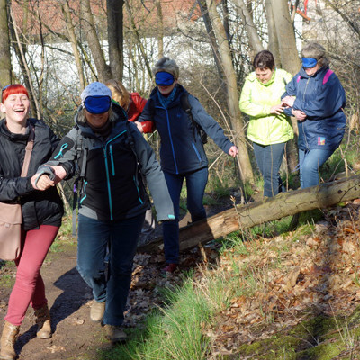 Vorschau Bild des Kurses Waldgenuss - Achtsam Draußen Sein - Workshop