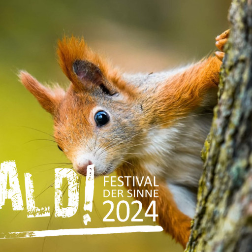 Vorschau Bild des Kurses WALD! Festival der Sinne 2024