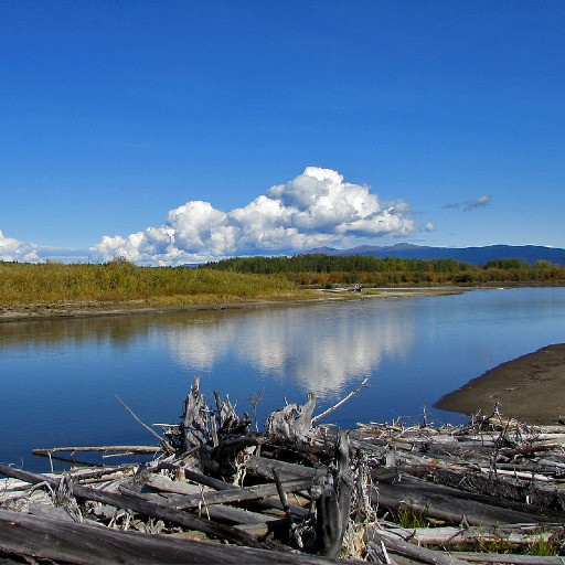 Vorschau Bild des Kurses Kanutour Yukon Kanada