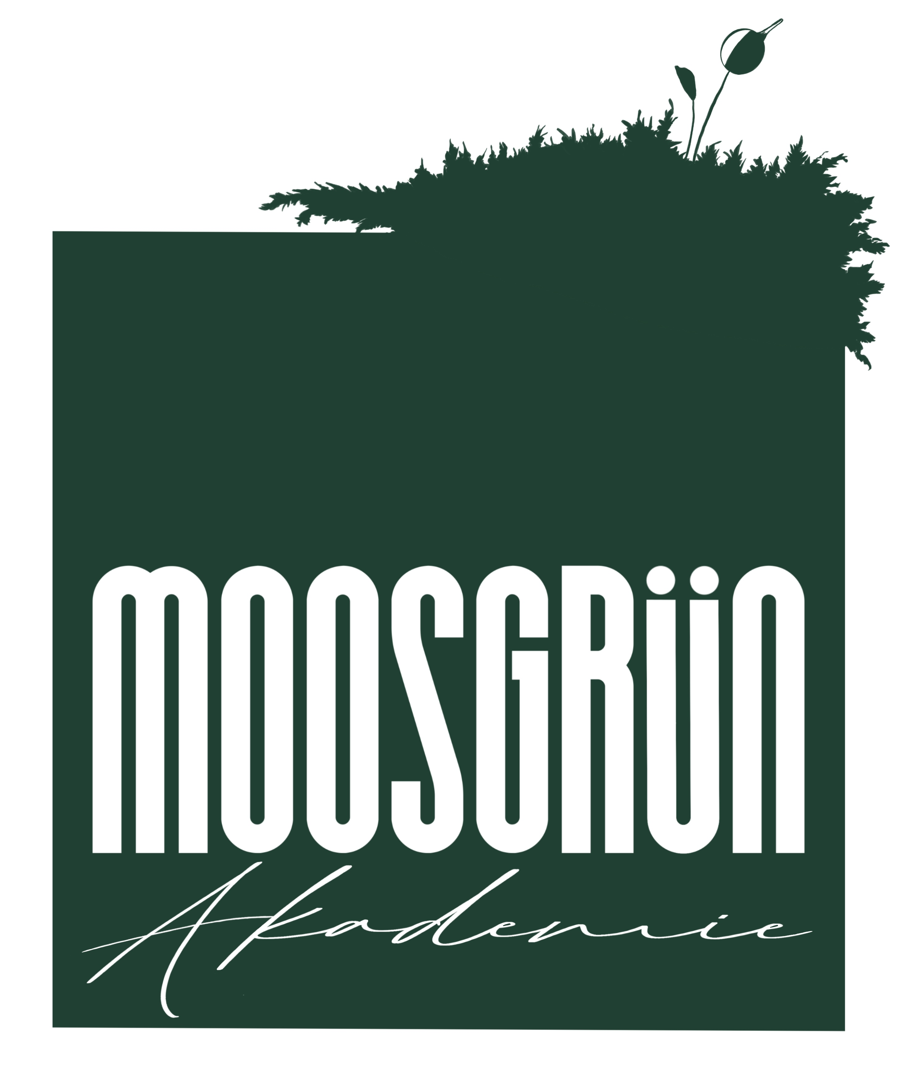 Logo der Wildnisschule moosgrün Natur- & Umweltakademie