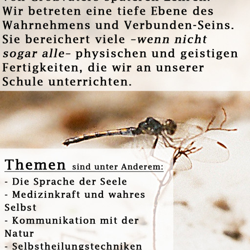 Preview image of class Tempel der Seele