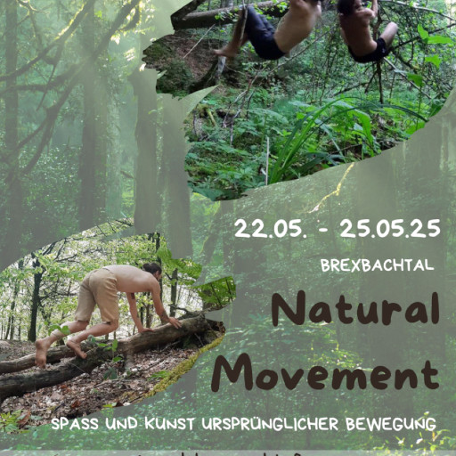 Preview image of class Natural Movement - Spaß und Kunst ursprünglicher Bewegung